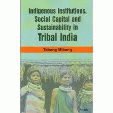 Indigenous Institutions, Social Capital and Sustainability in Tribal India